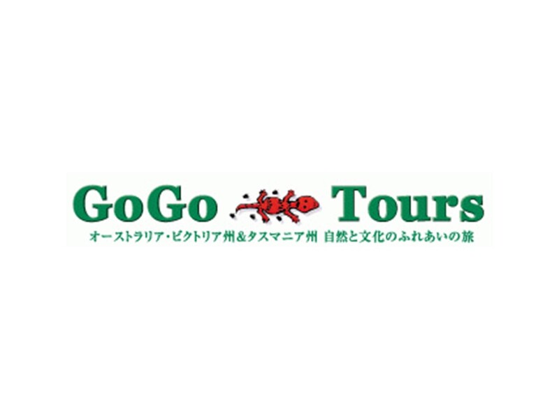 GOGO TOURS 1