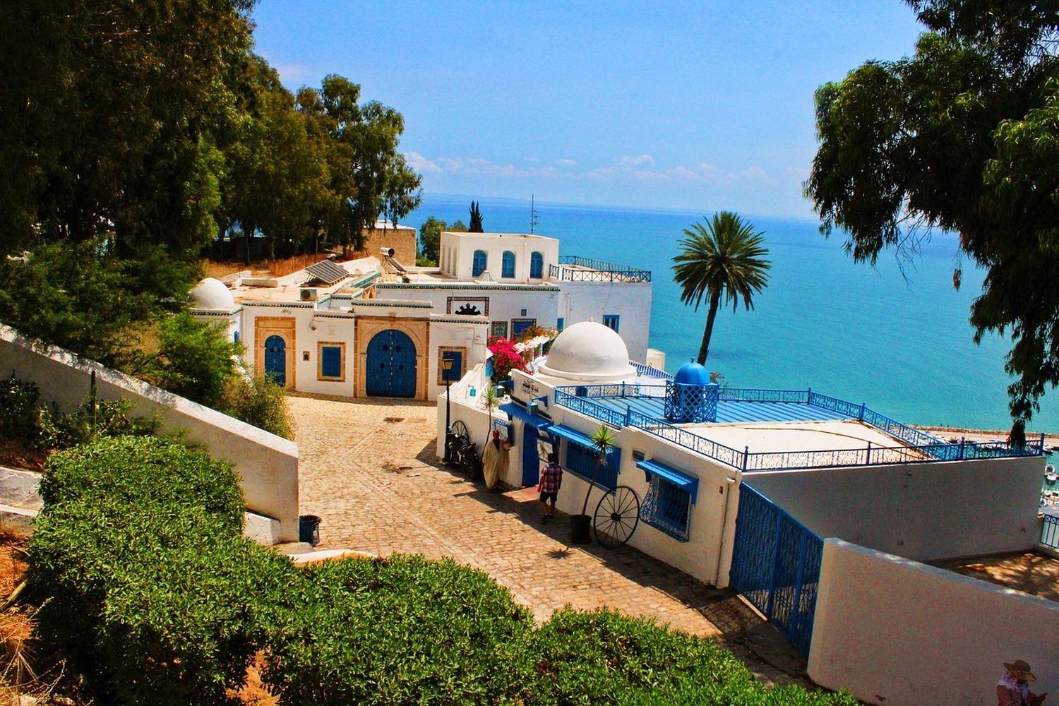 今注目のチュニジア！青色の塗装と白い壁が地中海に映えるシディ・ブ・サイドが人気上昇中