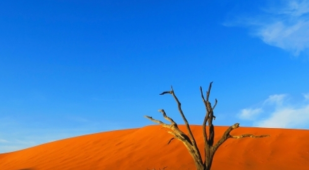 もうどこか何もない世界に逃げ込みたい！と感じた方にお勧めのナミブ砂漠体験