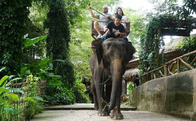 エンジョイハッピーツアー