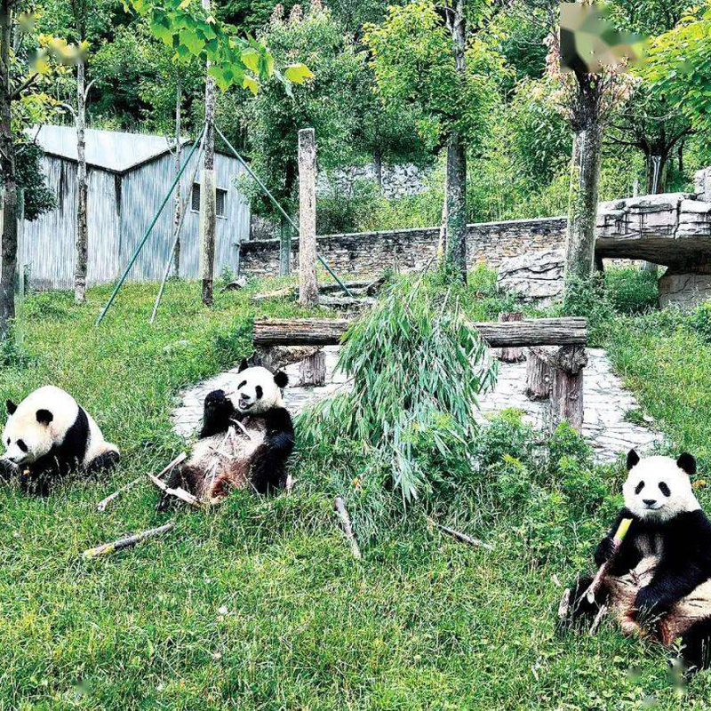 セイナン・スカイ中国旅行社 2