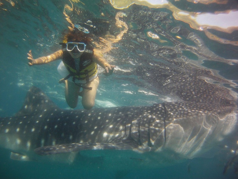 タビ・トラベルエージェンシー