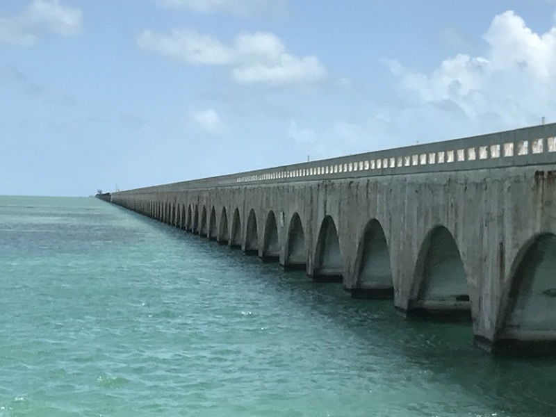 日本総合ツアーズ 4