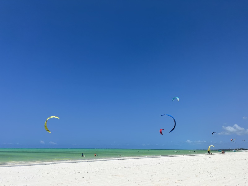 カラーズ　オブ　ザンジバル 4