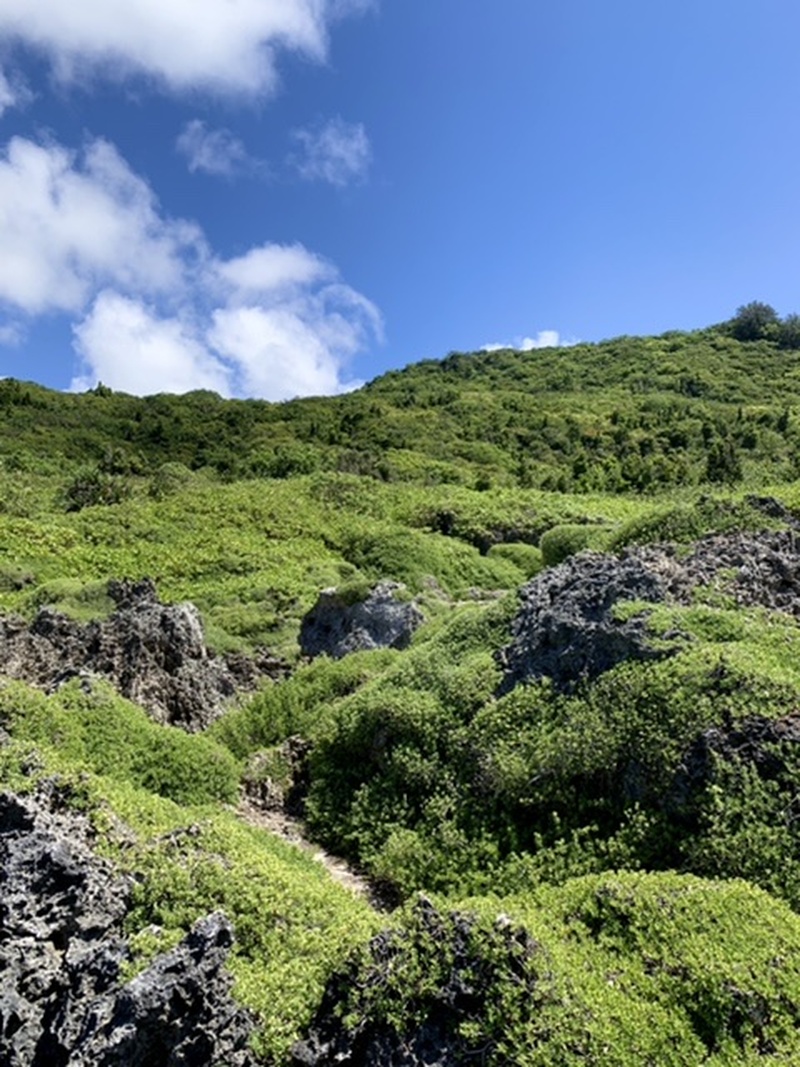 アイランドジャーニーグアム 5