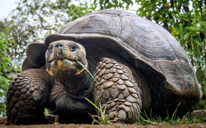 レスポンサブル　トラベル 5