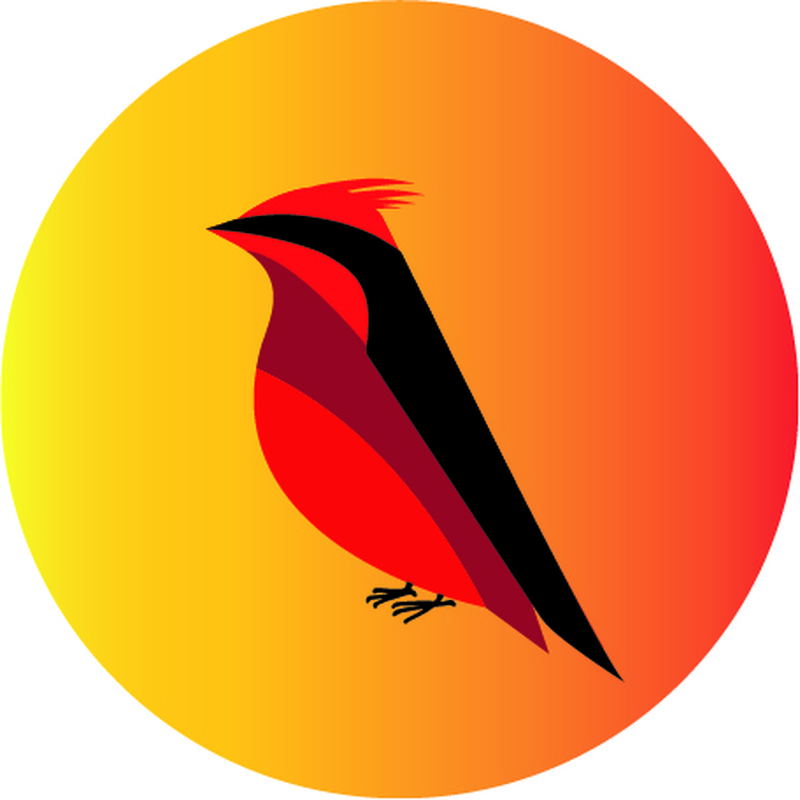 ラテン　アメリカン　パラダイス　トラベル