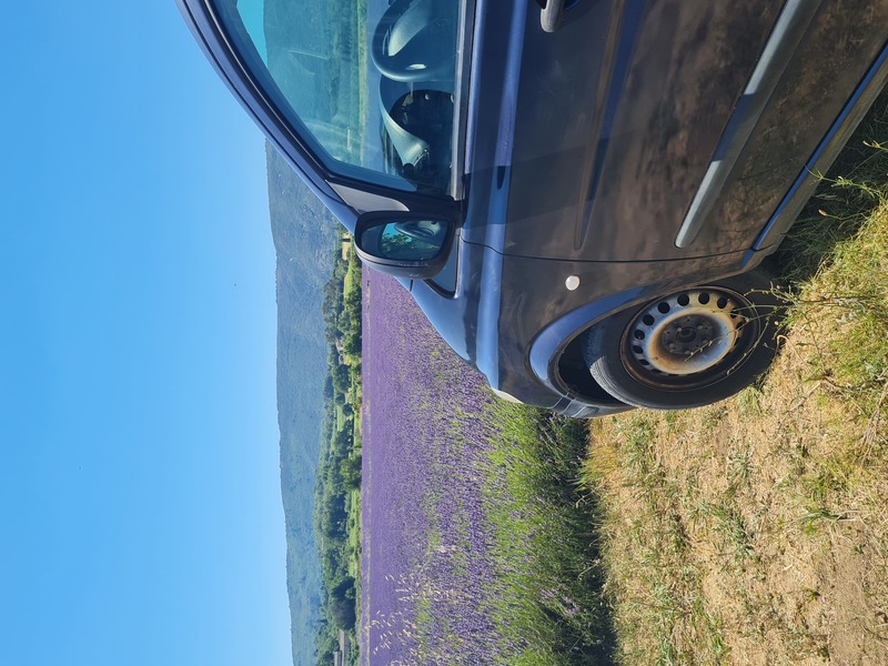 プロヴァンストラベル 4