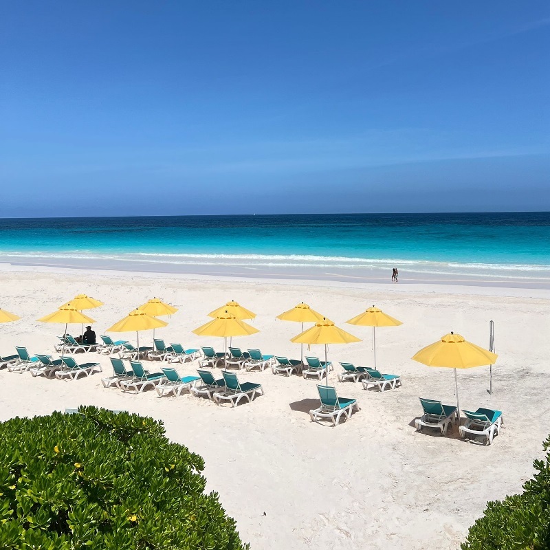 ピンクパールホリデーズ 1