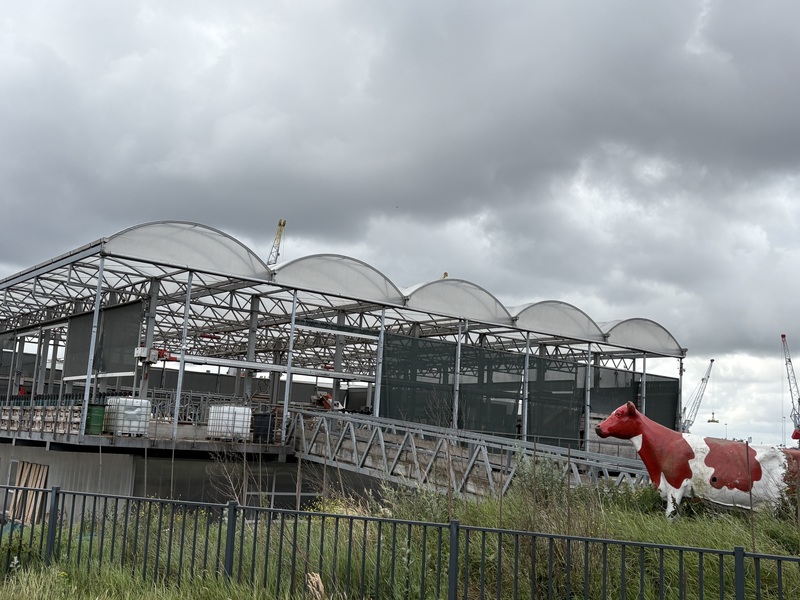 コウサク オランダ 3