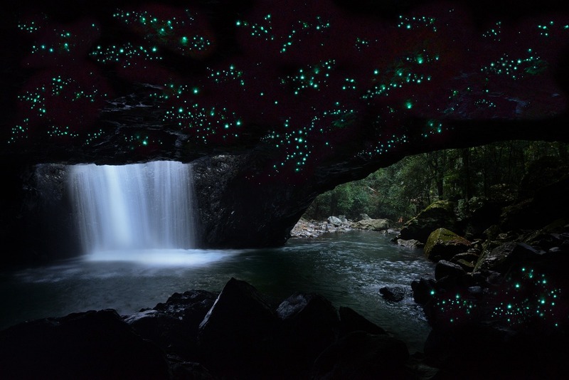 ツアー・ゴールドコースト 4