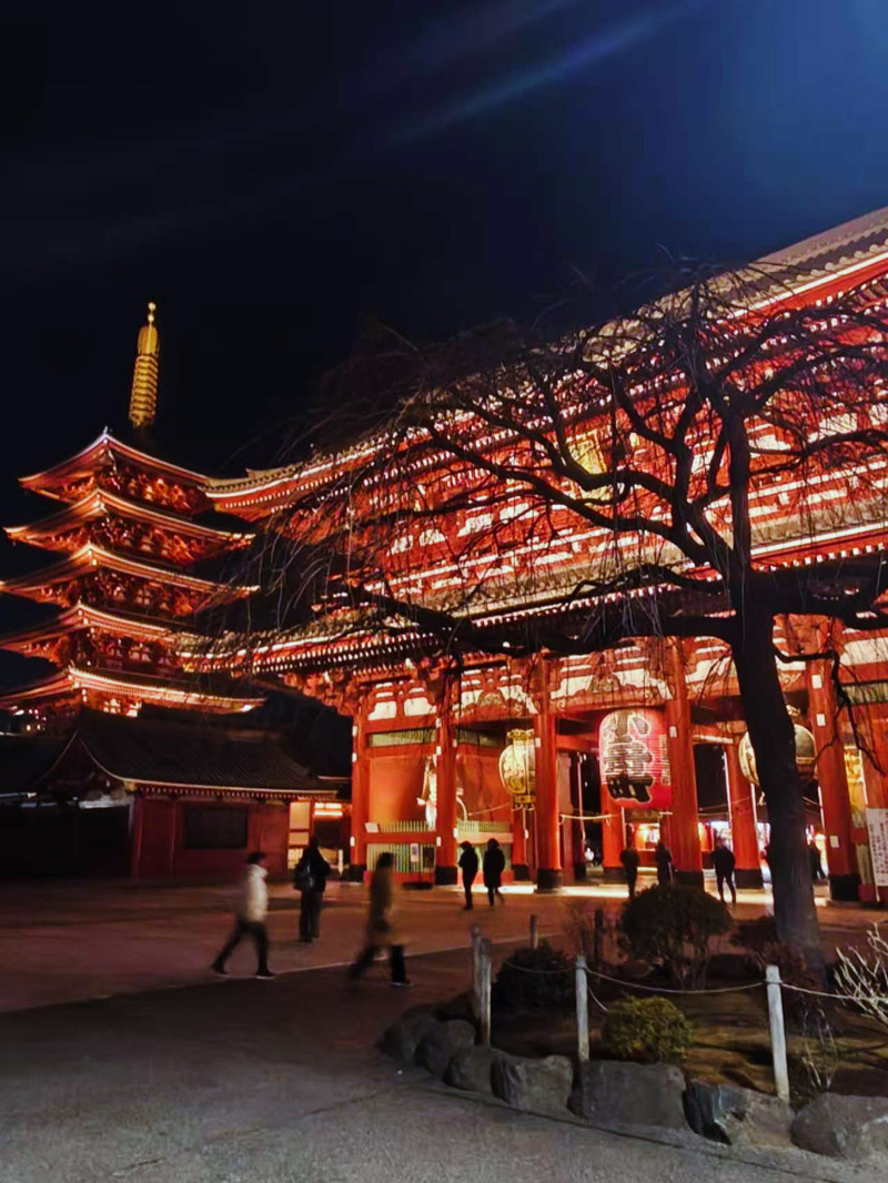 株式会社コンサルタント・カザ 3