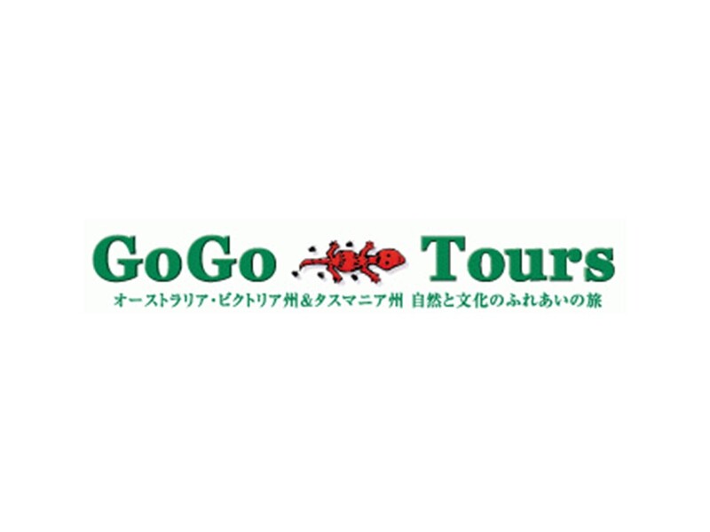 GOGO TOURS