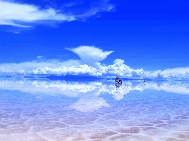 エフティーエストラベル 5