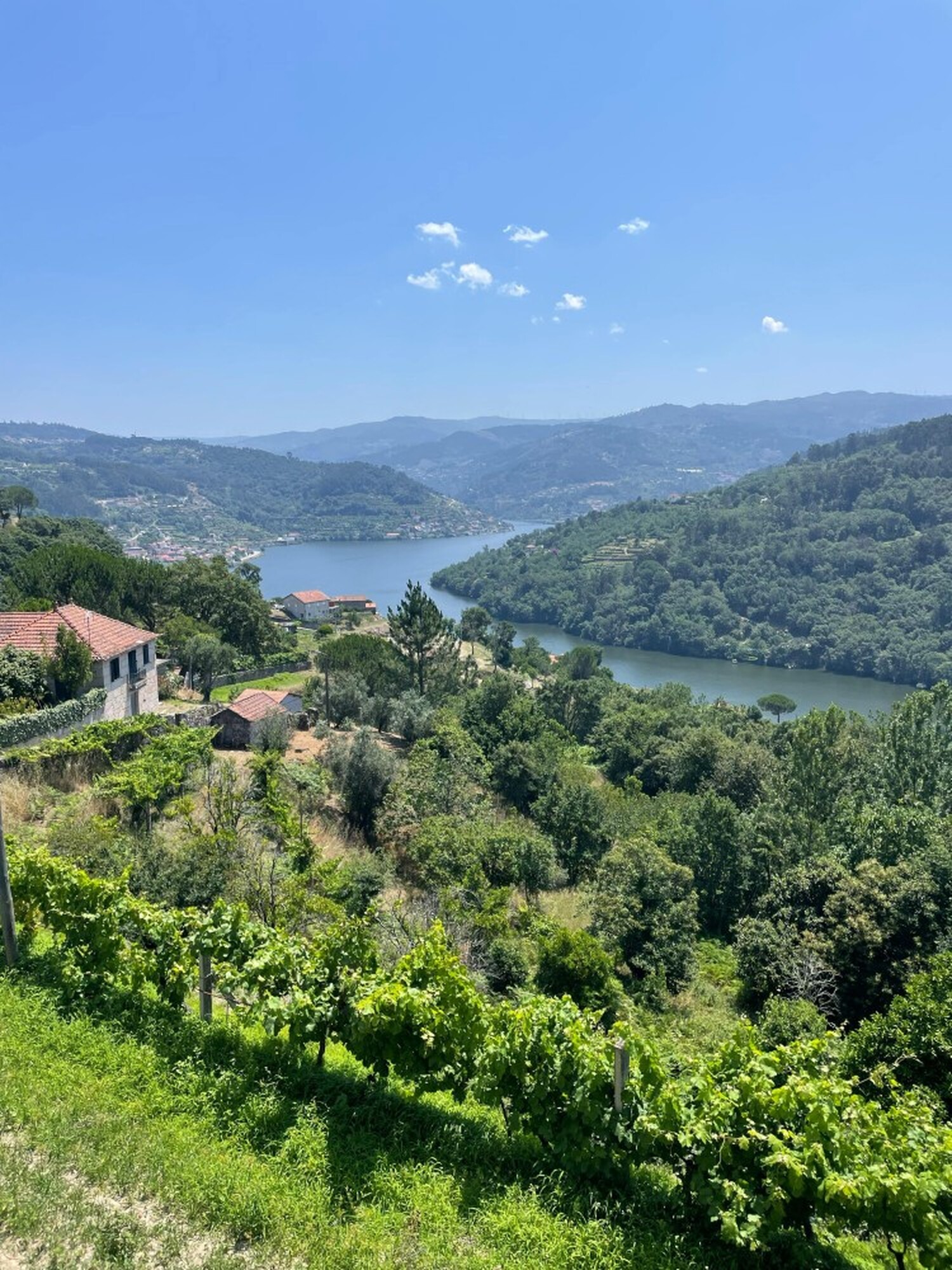 「ポルトガルの宝石」ドウロ渓谷へ｜世界遺産ワイナリーと優雅なリバークルーズ1日旅