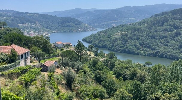 「ポルトガルの宝石」ドウロ渓谷へ｜世界遺産ワイナリーと優雅なリバークルーズ1日旅