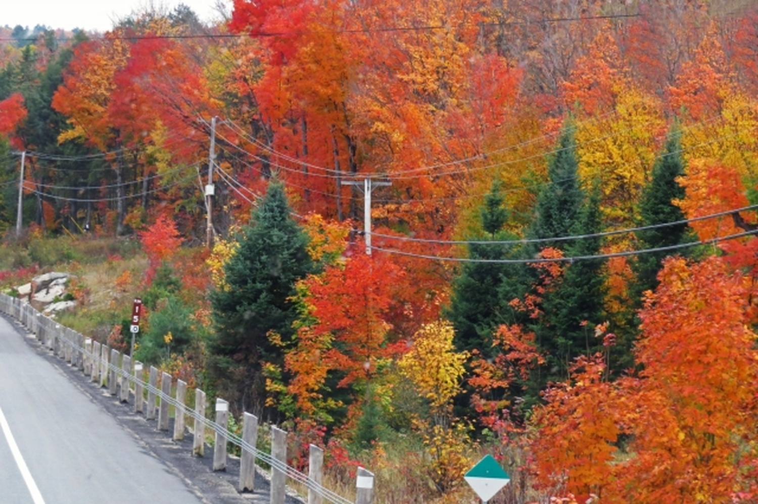 湖に映るカナダの紅葉を歩く。トロント発・アルゴンキン州立公園絶景ツアー