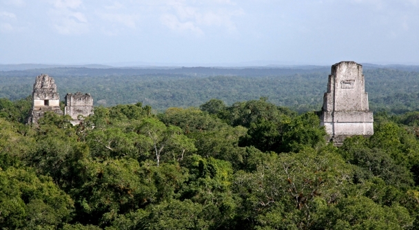 失われた世界へ　世界遺産・マヤ文明最大級のティカル遺跡でミステリーハンター気分！