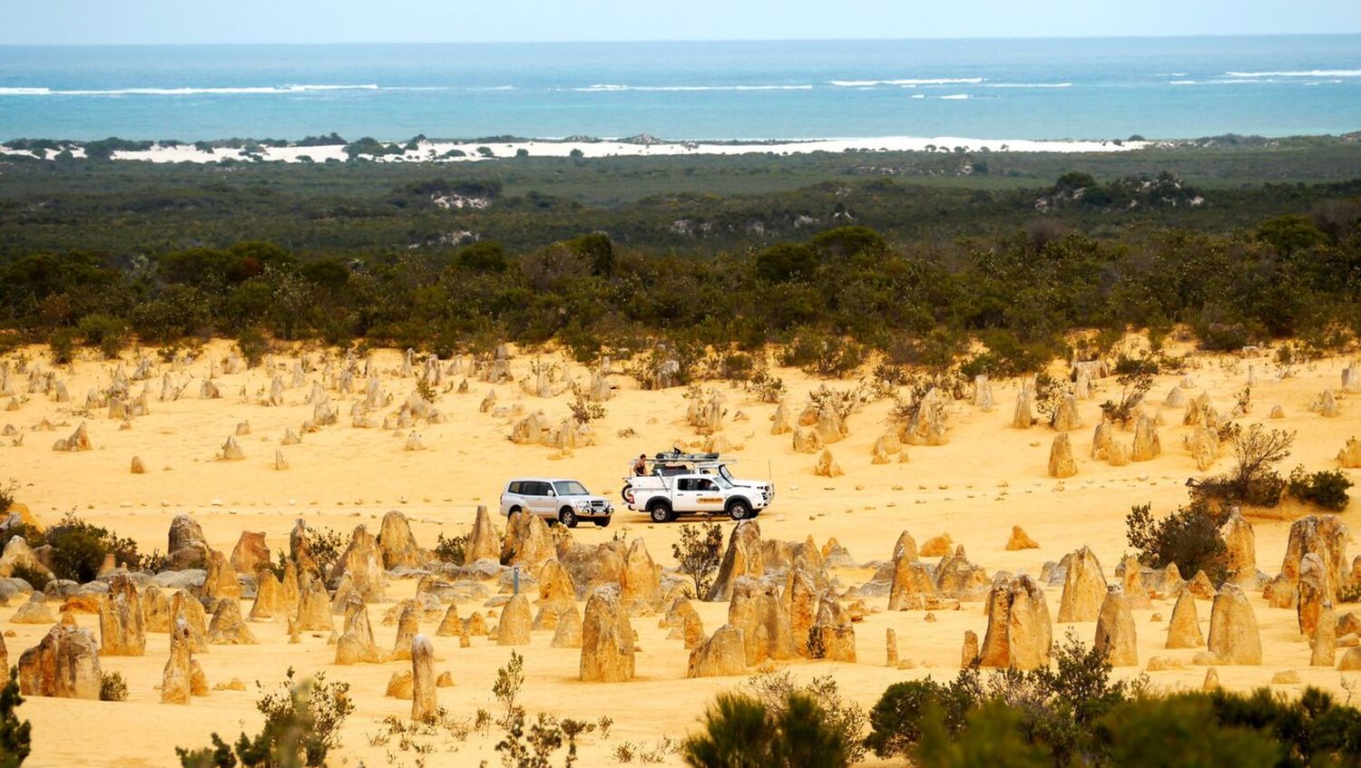 オーストラリアに春到来！ワイルドフラワーと奇岩ピナクルズを巡る絶景アドベンチャー