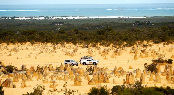 オーストラリアに春到来！ワイルドフラワーと奇岩ピナクルズを巡る絶景アドベンチャー