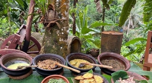 カレーと健康好きの方にお勧めしたいスリランカの田舎体験旅行