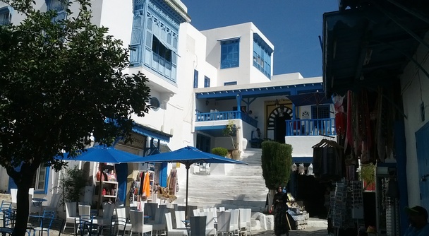 【チュニジア】　チュニジア旅行、チュニス定番観光スポット４選