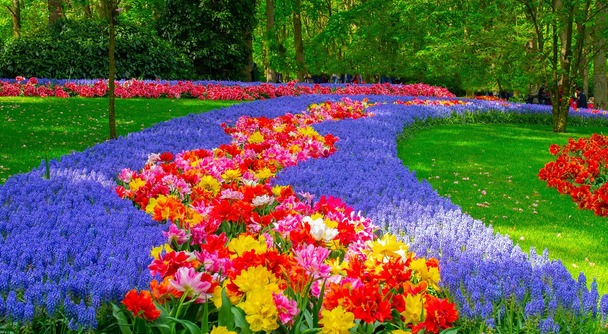 もうすぐ春ですね！3月21日～5月12日はオランダ・キューケンホフ公園に出かけませんか？
