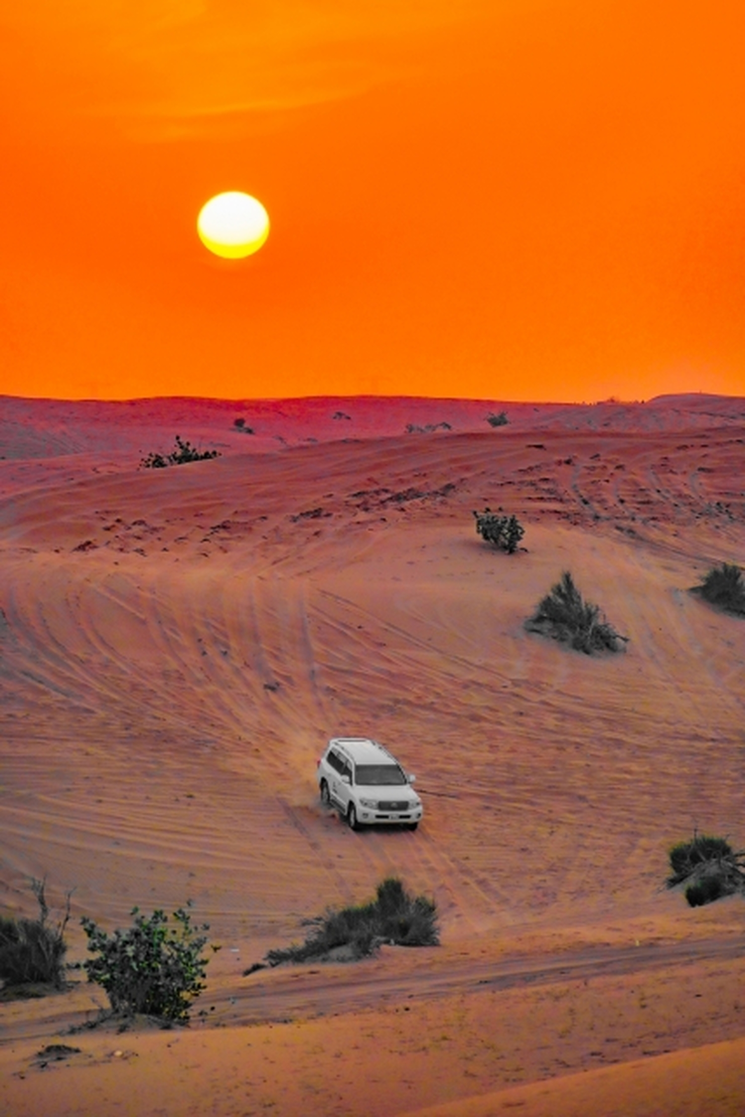 4WD 車で砂漠を爆走し、ベリーダンスやラクダ乗りなどアラビア世界に浸りませんか？