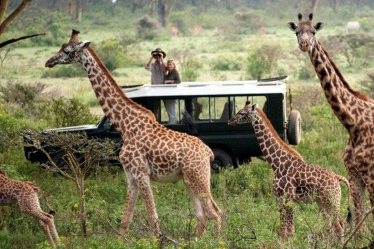 タンザニアの多様な野生動物や豊かな大自然は人類の宝！美しい地球を守りたい！