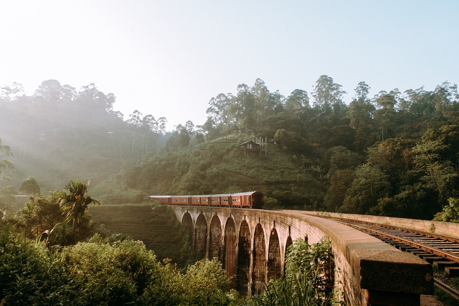 紅茶鉄道を選ぶか？海岸列車を選ぶか？それとも両方か？スリランカの風光明媚な鉄道を追いかけて！