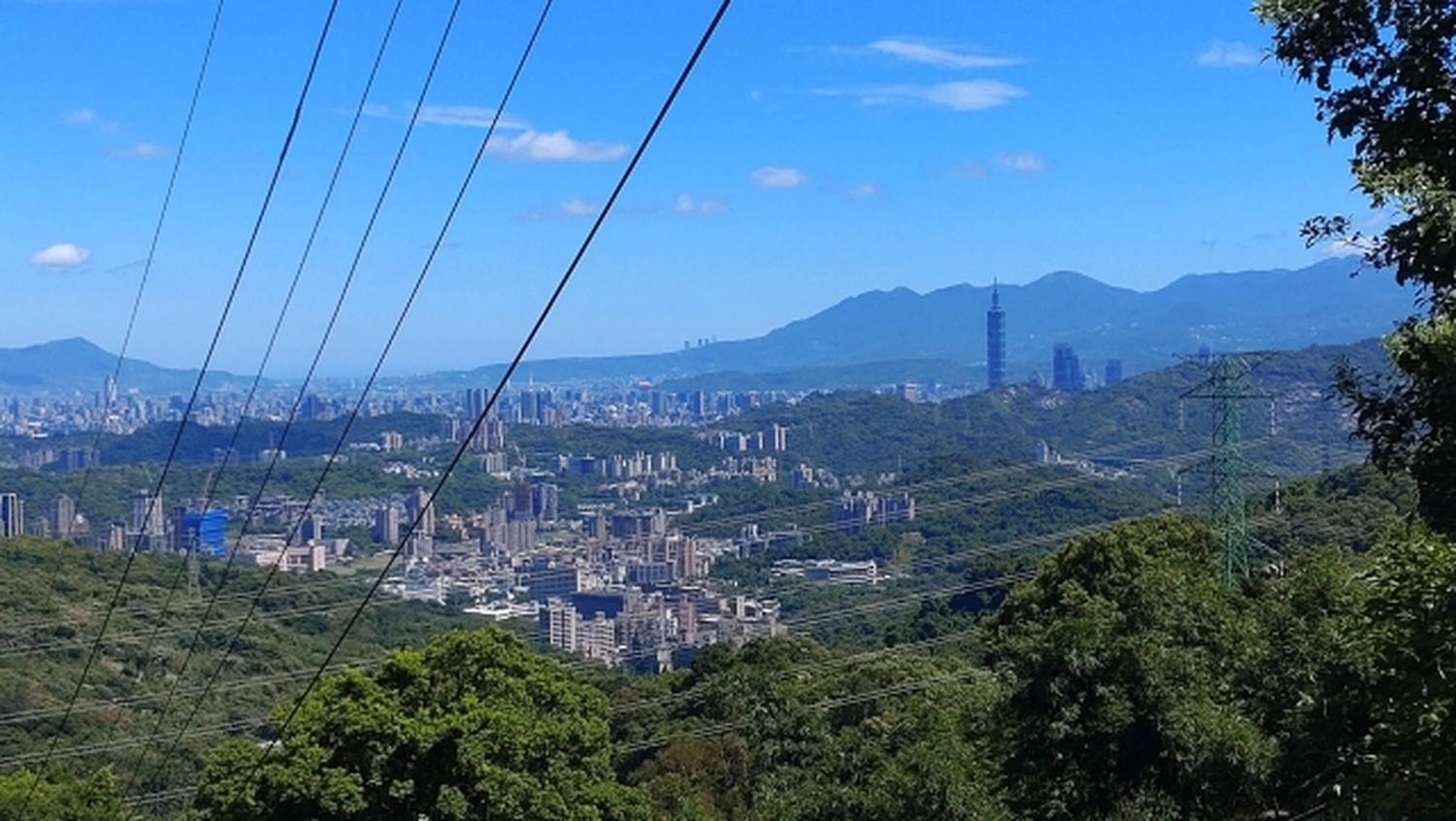 お茶好きの皆さん！猫空に来るニャン！