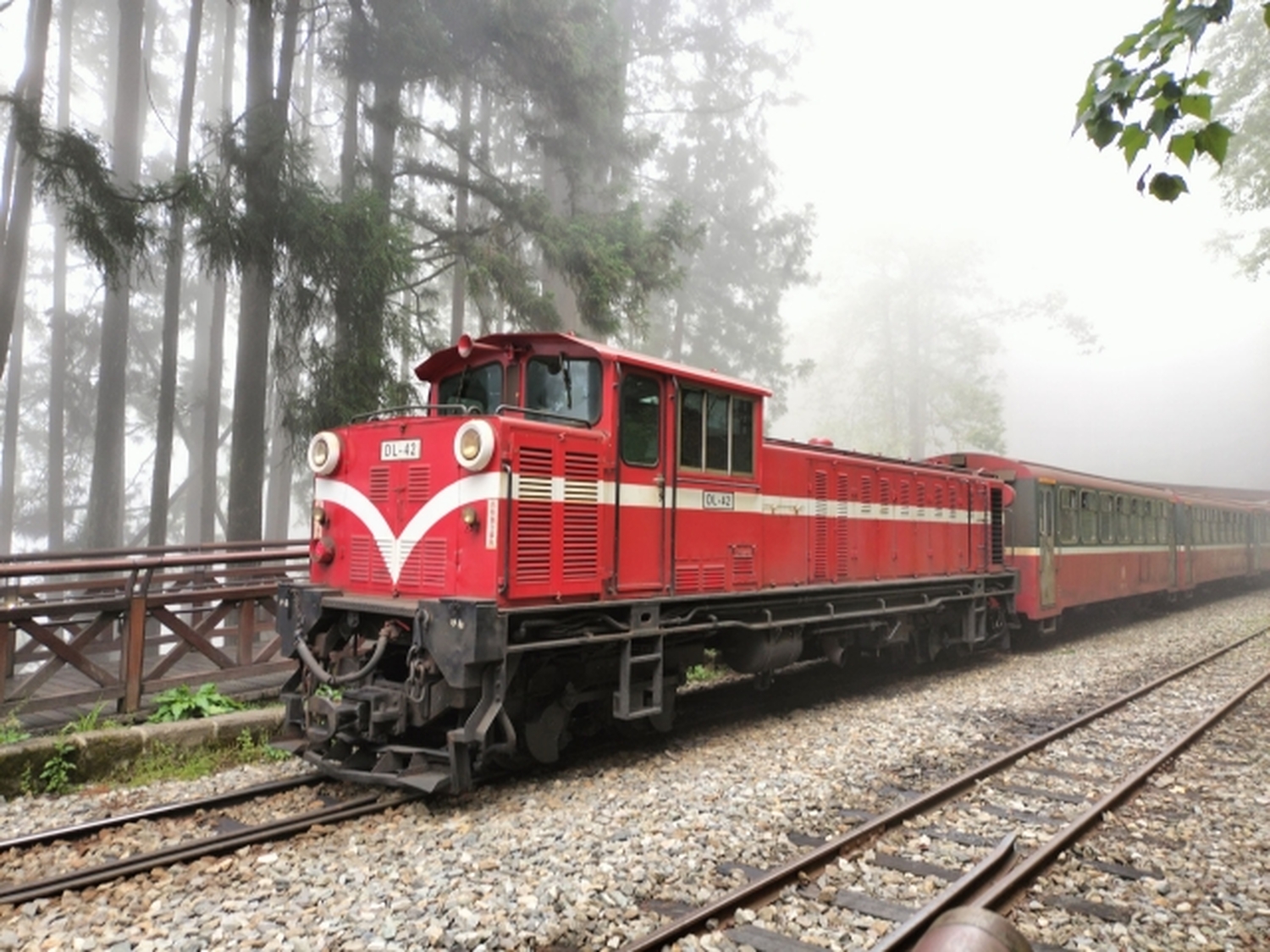 15年ぶりの全線復旧、阿里山鉄道で行く絶景日の出鑑賞1泊2日の旅！