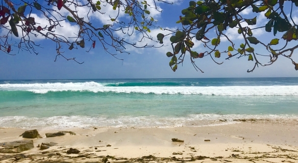 Forbesが「死ぬまでに行きたい場所」トップに選んだバリ島の魅力