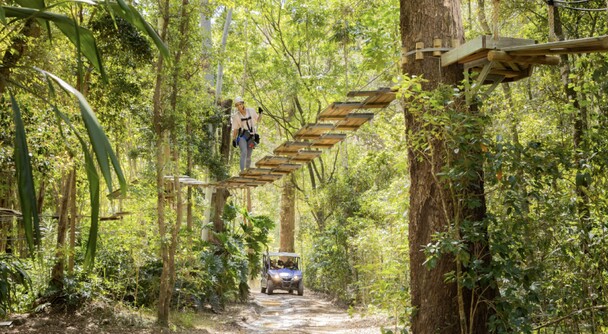 ゴールドコーストのビーチとは違った魅力を堪能できる素晴らしいマウントタンボリン1日体験