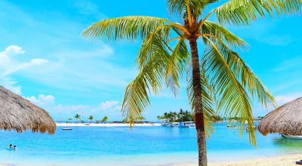 セブ島を自由に楽しむ！プライベート観光ツアーで絶景＆癒しの旅