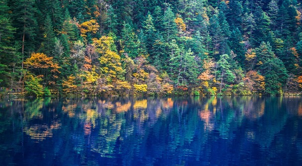 諸葛孔明ファン感涙！パンダに癒され、大自然の絶景と四川料理に大満足の四川省4日間