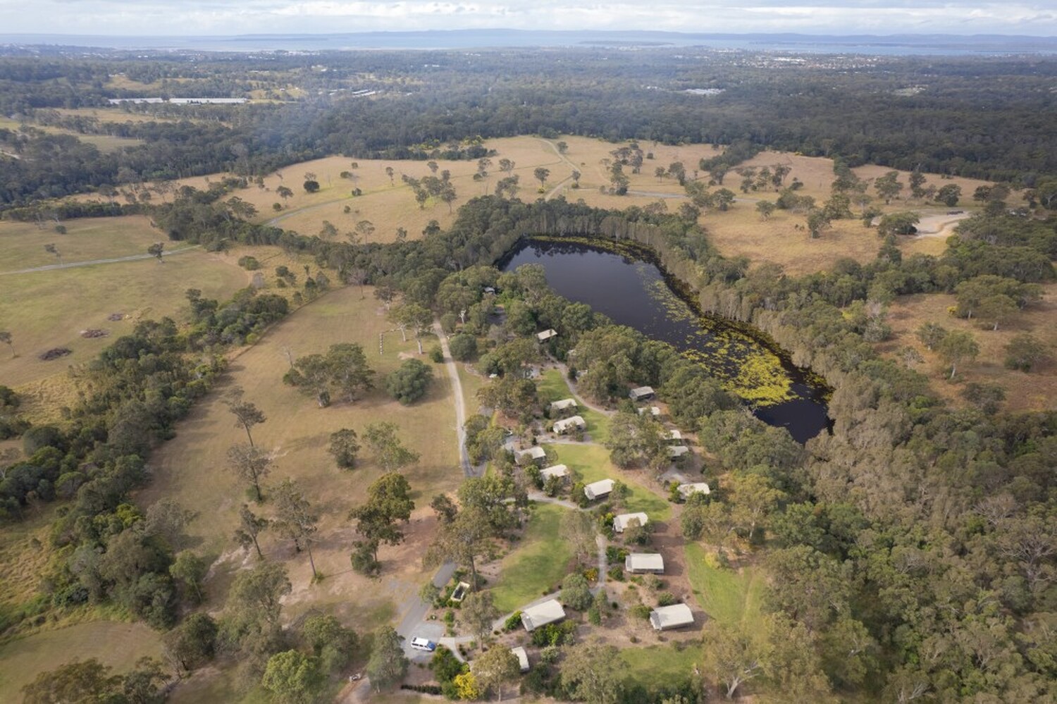 日本語ドライバー付きで安心。ゴールドコーストから日帰りで楽しむ、贅沢なワイン体験！