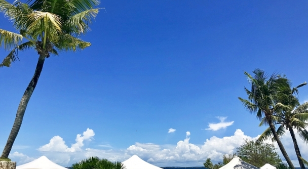 セブ島のお客様へ！ご希望の場所を自由にアレンジできる8時間のカーチャーターです。