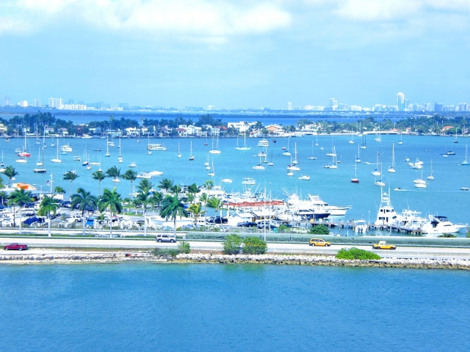 マイアミ半日観光～カリブの風、アートの街、WBCの興奮──すべて日本語ガイドで安心体験！