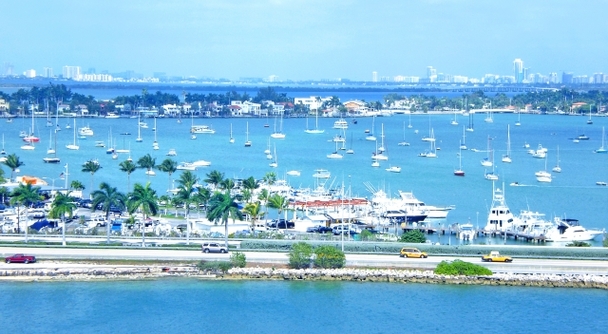 マイアミ半日観光～カリブの風、アートの街、WBCの興奮──すべて日本語ガイドで安心体験！