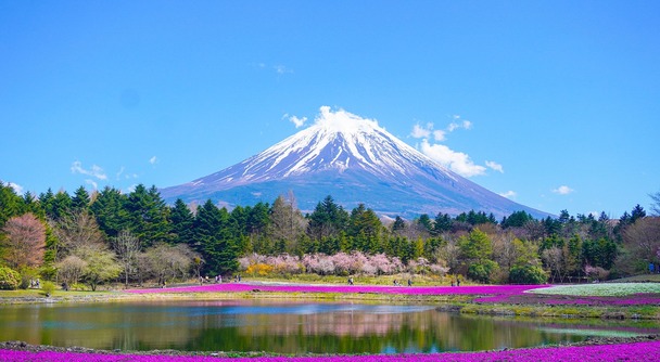 外国人旅行者支持率No.1！英語ドライバー付き富士山五合目＆忍野八海プライベートツアー！