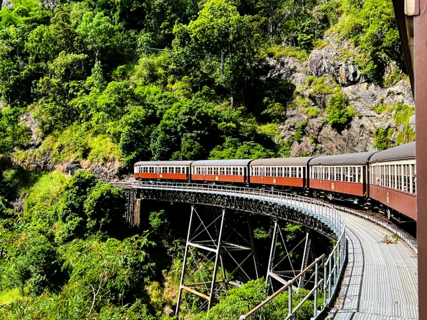 グレートバリアリーフと熱帯雨林、そして日本語の安心。南国の楽園ケアンズであなたらしい過ごし方を