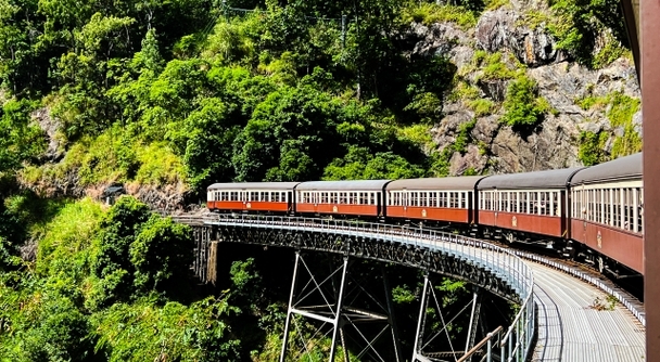 グレートバリアリーフと熱帯雨林、そして日本語の安心。南国の楽園ケアンズであなたらしい過ごし方を