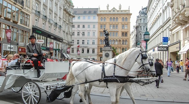 日本語ガイドとめぐり合えた幸運！心が震える、美しさとの出会い。人生に刻まれるウィーンの街歩き