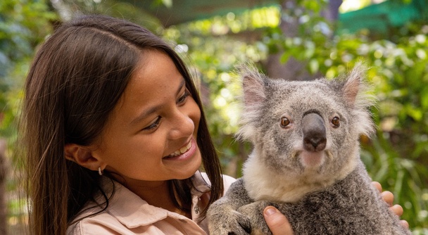 コアラの笑顔に迎えられる朝。ブリスベンから始まるカランビンの小さな冒険へ