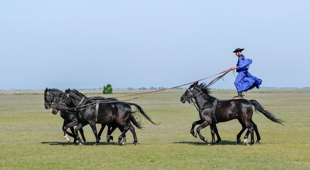 果てしなく広がる大草原～ホルトバージ国立公園 - プスタの伝統的文化的景観