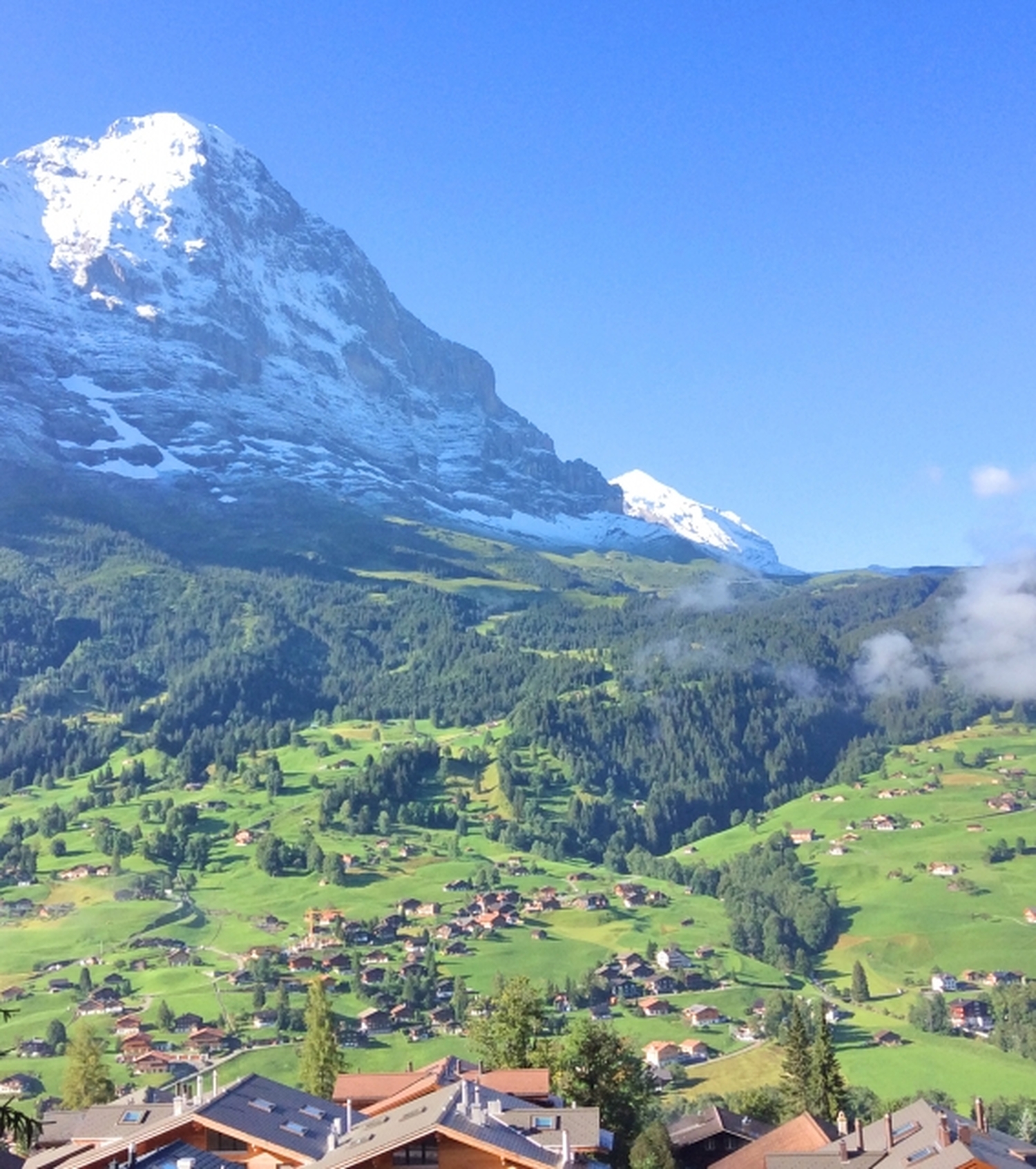 はじめてでも大丈夫！日本語ガイドと歩く、心に残るスイスアルプスの絶景ハイキング