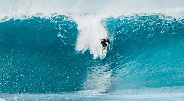 ホノルルから約1時間、“もうひとつのハワイ”へ――ノースショアの魅力満喫ツアー