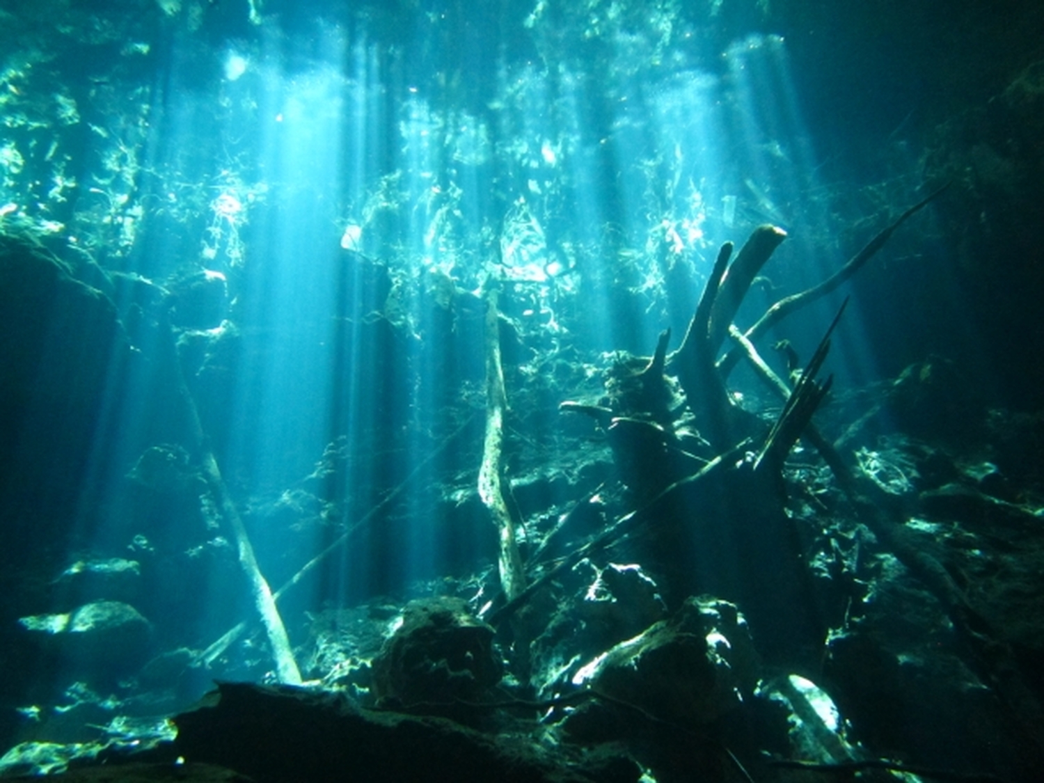 マヤ文明の謎とカリブの光に包まれる「カリブ海の宝石」カンクンで、特別な一日を!