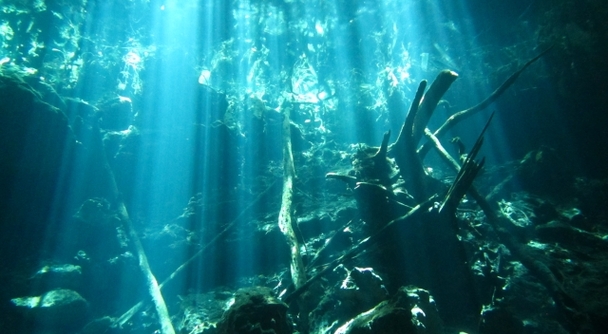 マヤ文明の謎とカリブの光に包まれる「カリブ海の宝石」カンクンで、特別な一日を！